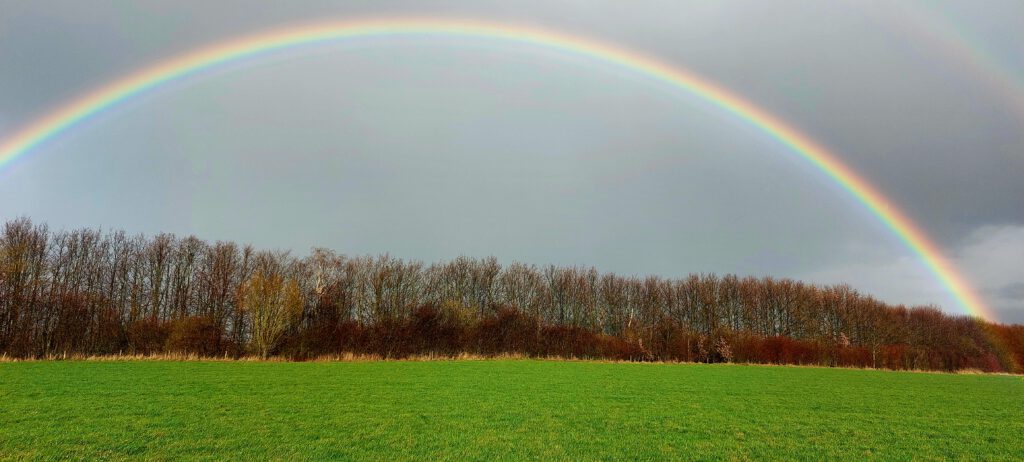 Regenboog