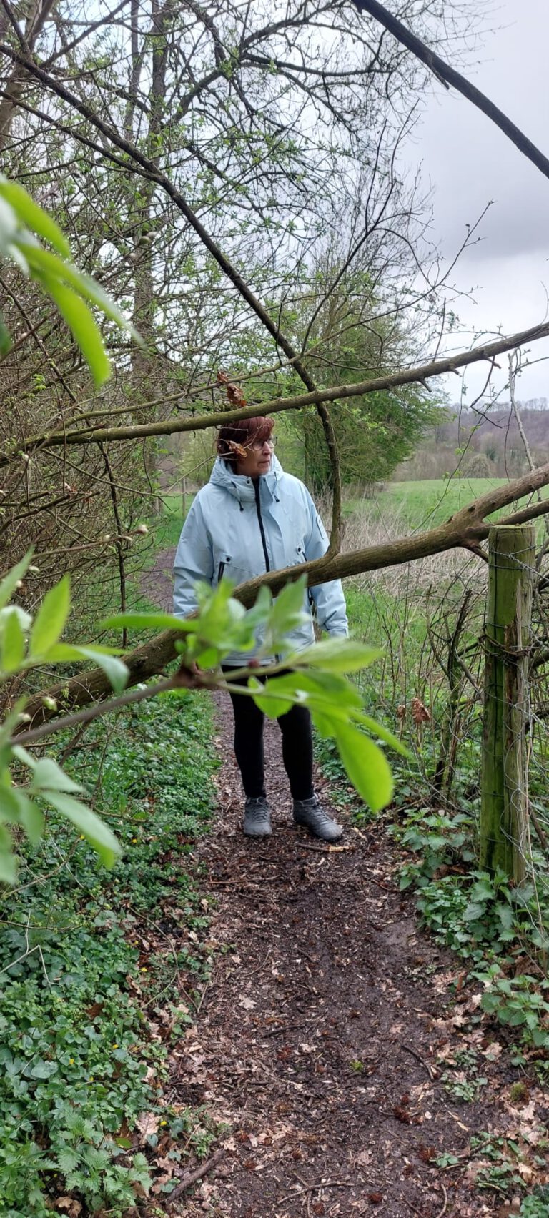 wandelcoaching1